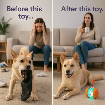 🐶Yobensun™ BusyBall - The Ultimate Smart Companion for Bored Dogs & Cats 🐱🐶