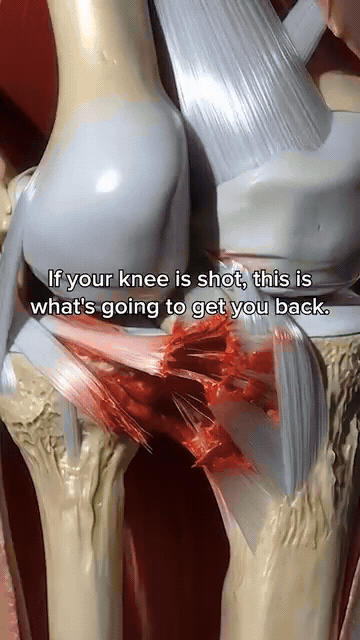 Knee support brace movement demonstration
