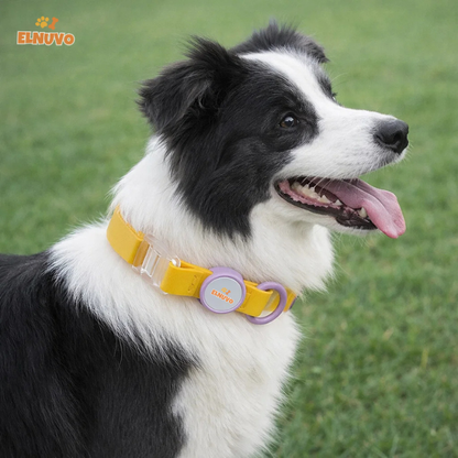 Adjustable Comfort Pet Collar