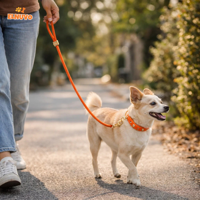 Braided Rope Dog Leash Set