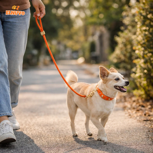 Braided Rope Dog Leash Set