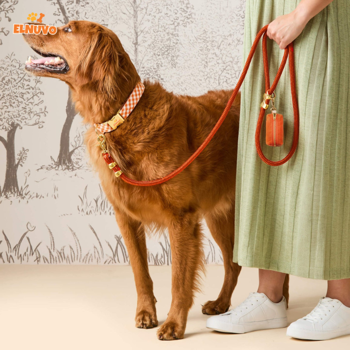 Braided Rope Dog Leash Set
