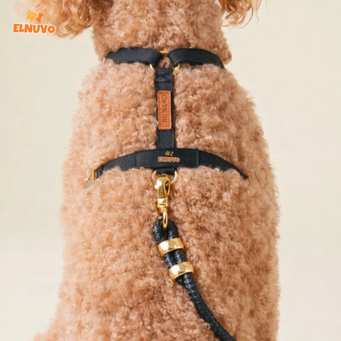 Luxury Rope Dog Leash & Harness Set