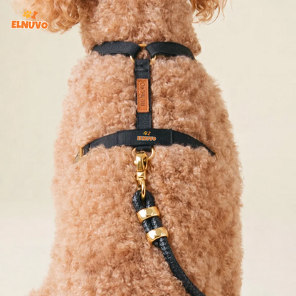 Luxury Rope Dog Leash & Harness Set