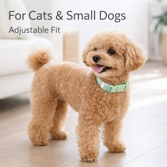 Adjustable Comfort Pet Collar