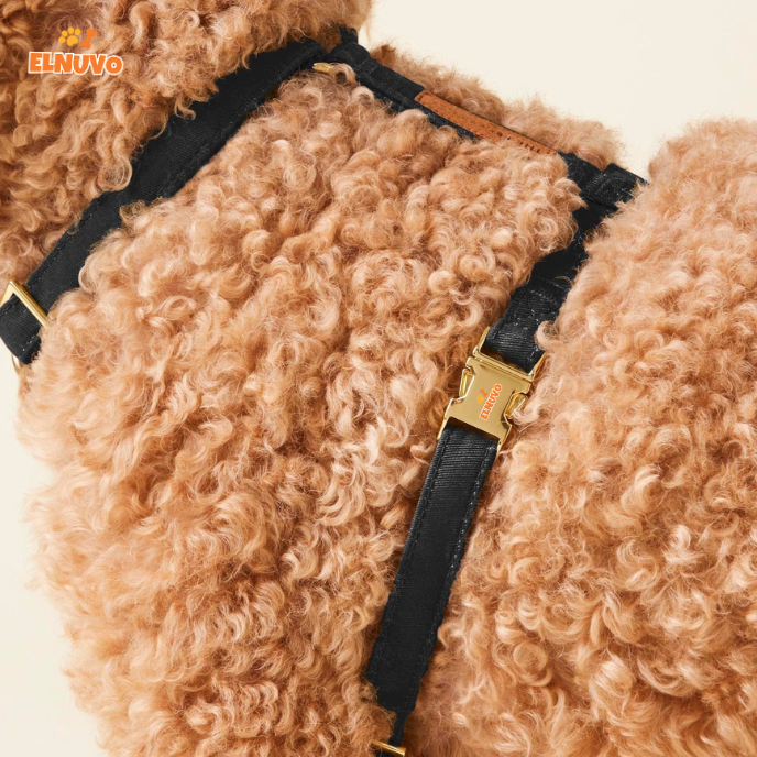 Luxury Rope Dog Leash & Harness Set