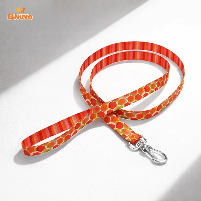 Everyday Comfort Dog Leash