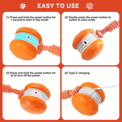 🐶Yobensun™ BusyBall - The Ultimate Smart Companion for Bored Dogs & Cats 🐱🐶
