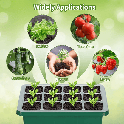 🌱 Adjustable Humidity Seed Starter Trays