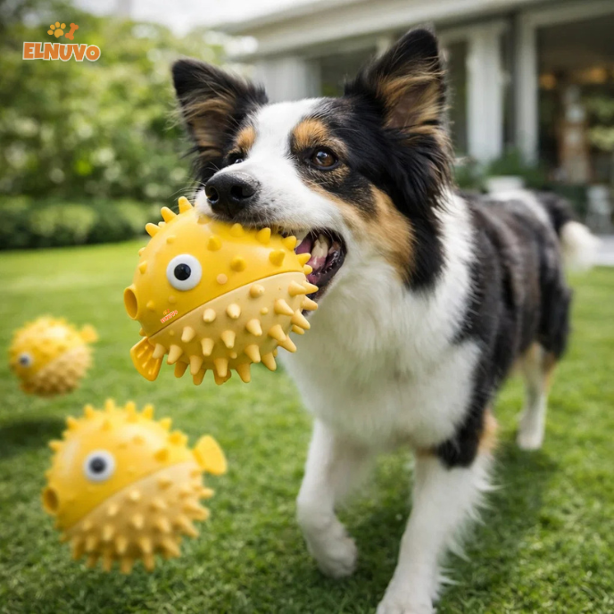 Textured Chew & Enrichment Dog Toy
