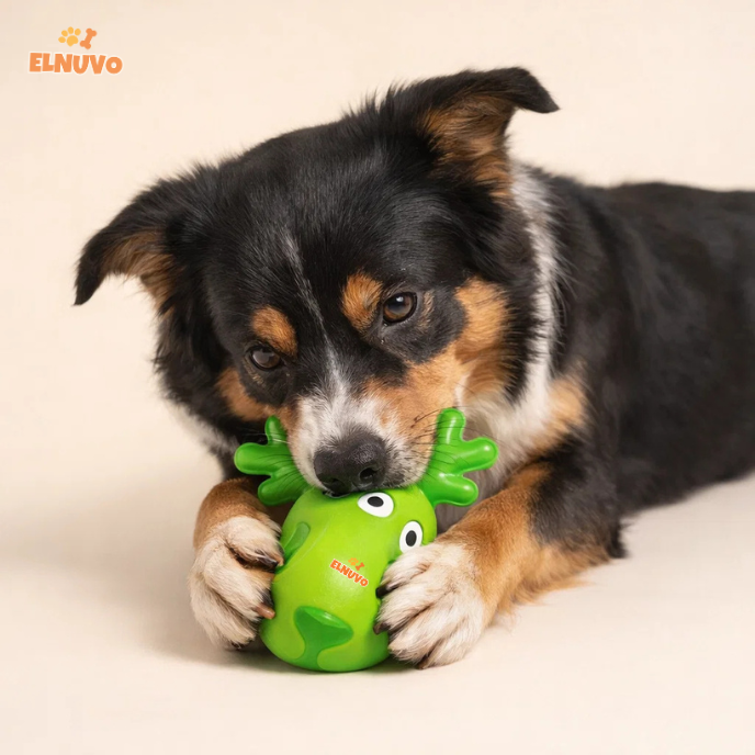 Squeaky Character Chew Toy Set