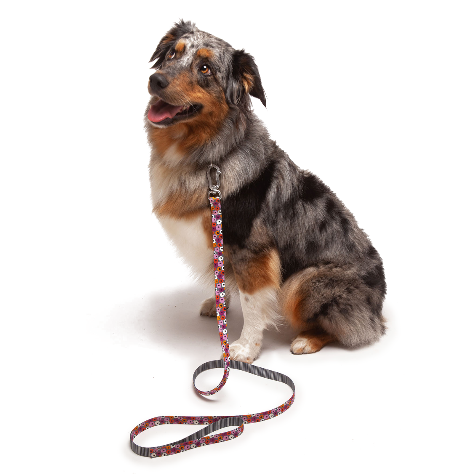 Everyday Comfort Dog Leash