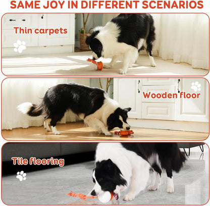 🐶Yobensun™ BusyBall - The Ultimate Smart Companion for Bored Dogs & Cats 🐱🐶