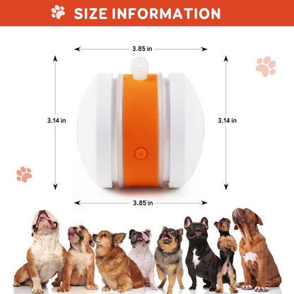 🐶Yobensun™ BusyBall - The Ultimate Smart Companion for Bored Dogs & Cats 🐱🐶