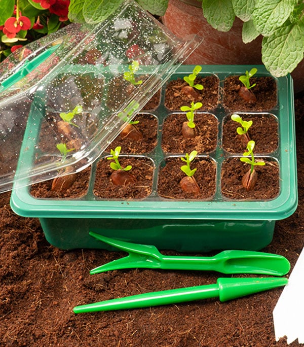 🌱 Adjustable Humidity Seed Starter Trays