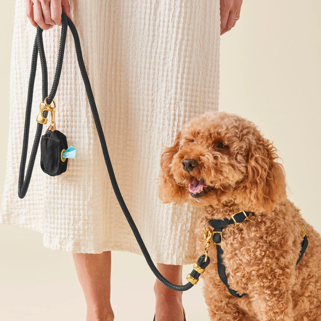 Luxury Rope Dog Leash & Harness Set