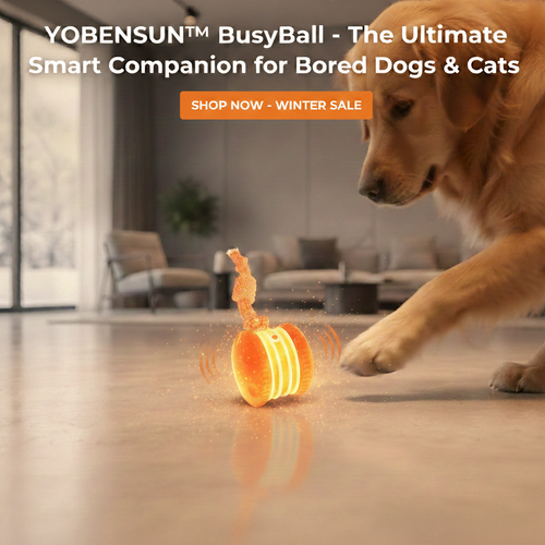 🐶Yobensun™ BusyBall - The Ultimate Smart Companion for Bored Dogs & Cats 🐱🐶