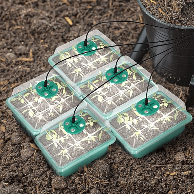 🌱 Adjustable Humidity Seed Starter Trays